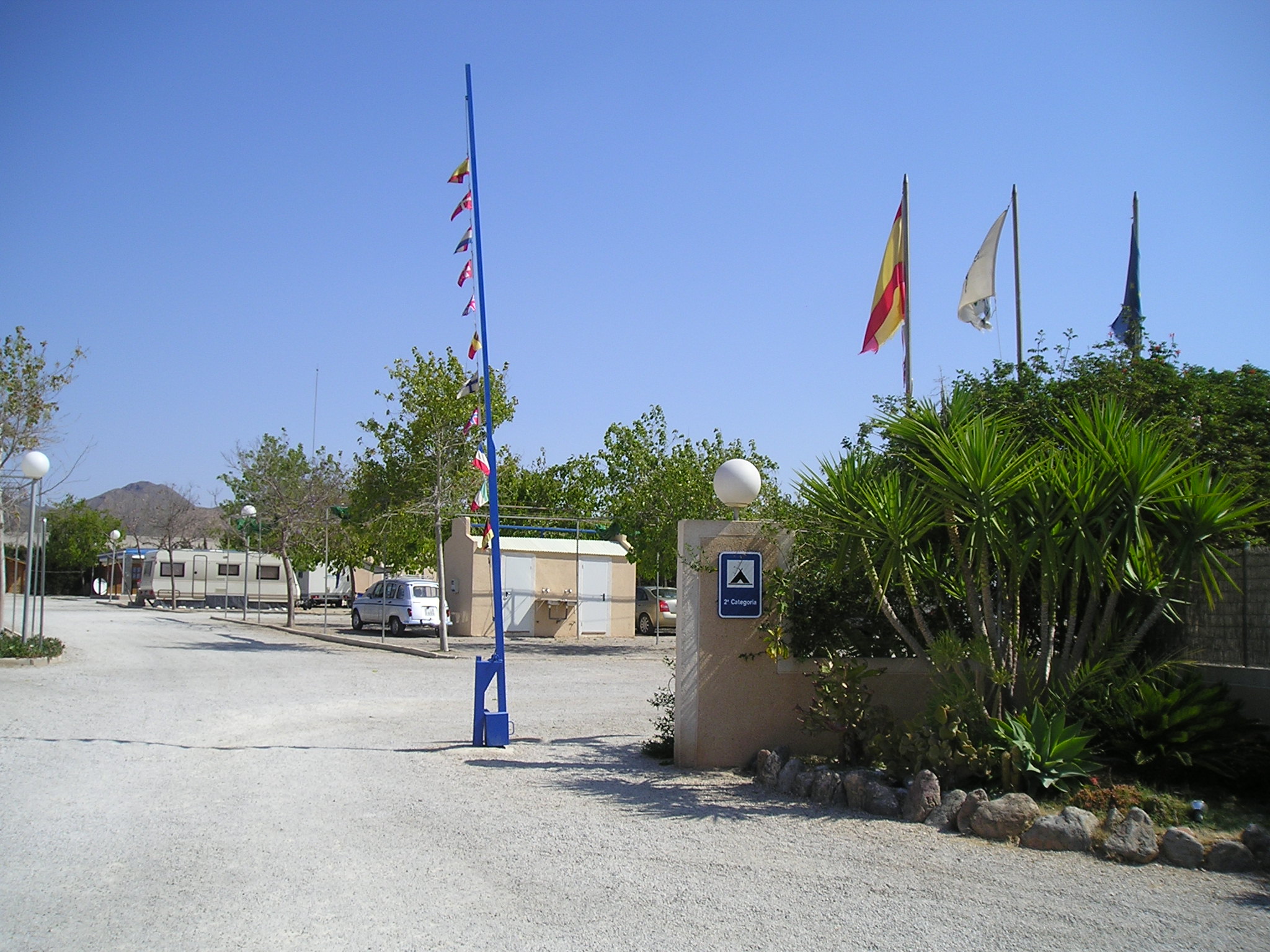 Los Delfines - Palm Tree - HD Wallpaper 