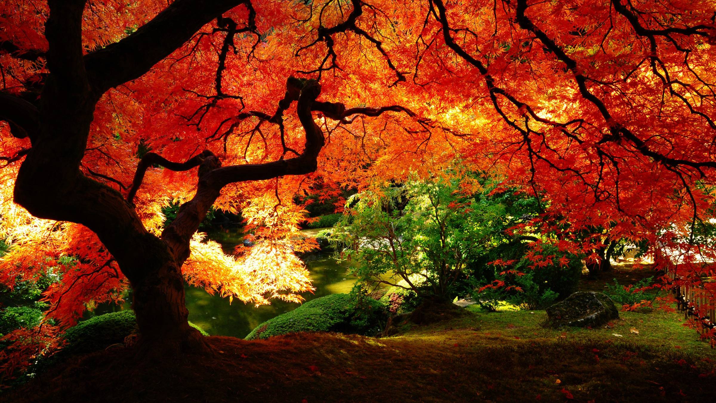 Japanese Scenery Wallpapers - Fall - HD Wallpaper 