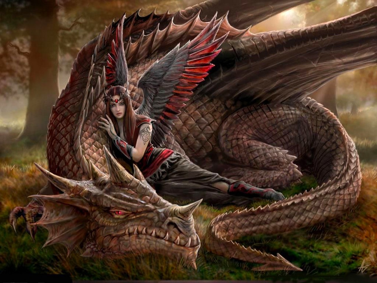 Dragons Wallpaper - Dark Fairies And Dragons - HD Wallpaper 