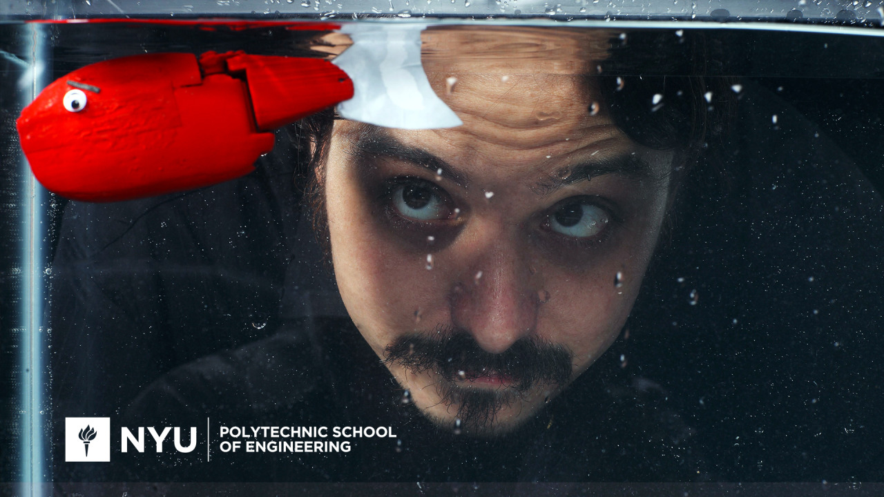 New York University - HD Wallpaper 