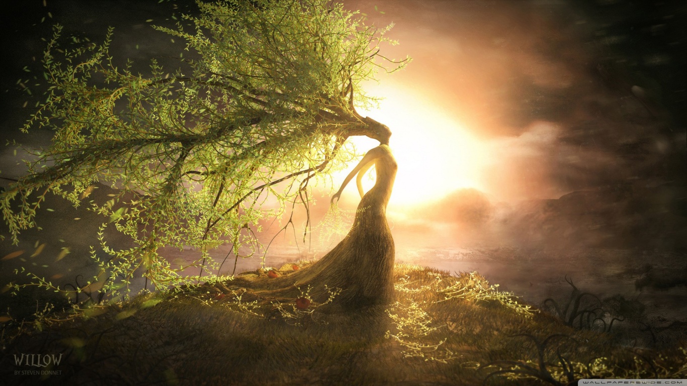 Hd Fantasy - HD Wallpaper 
