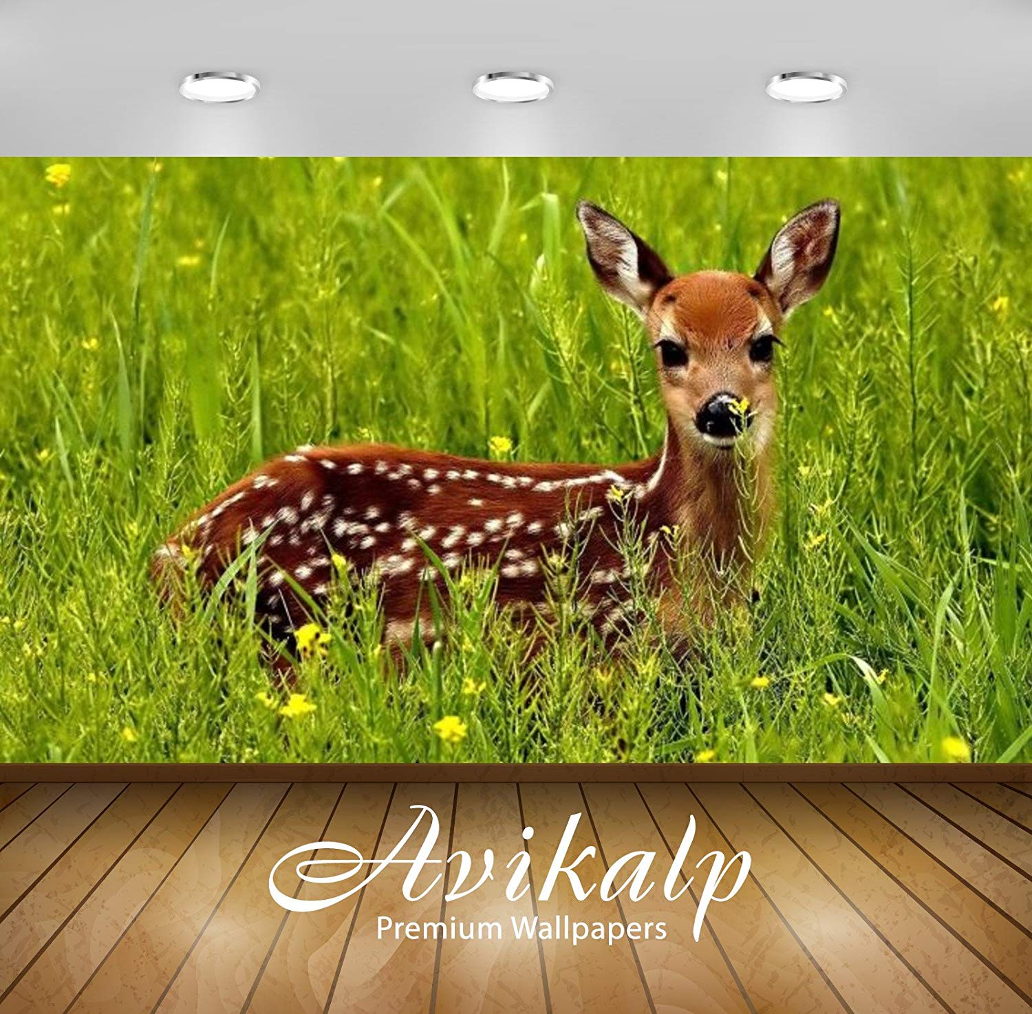 Mayan Deer - HD Wallpaper 