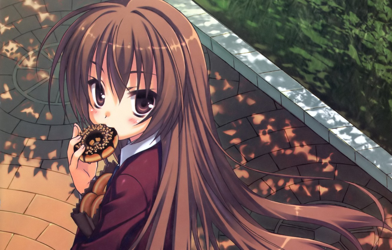 Photo Wallpaper Pavers, Package, Schoolgirl, Donut, - Toradora Taiga Aisaka - HD Wallpaper 