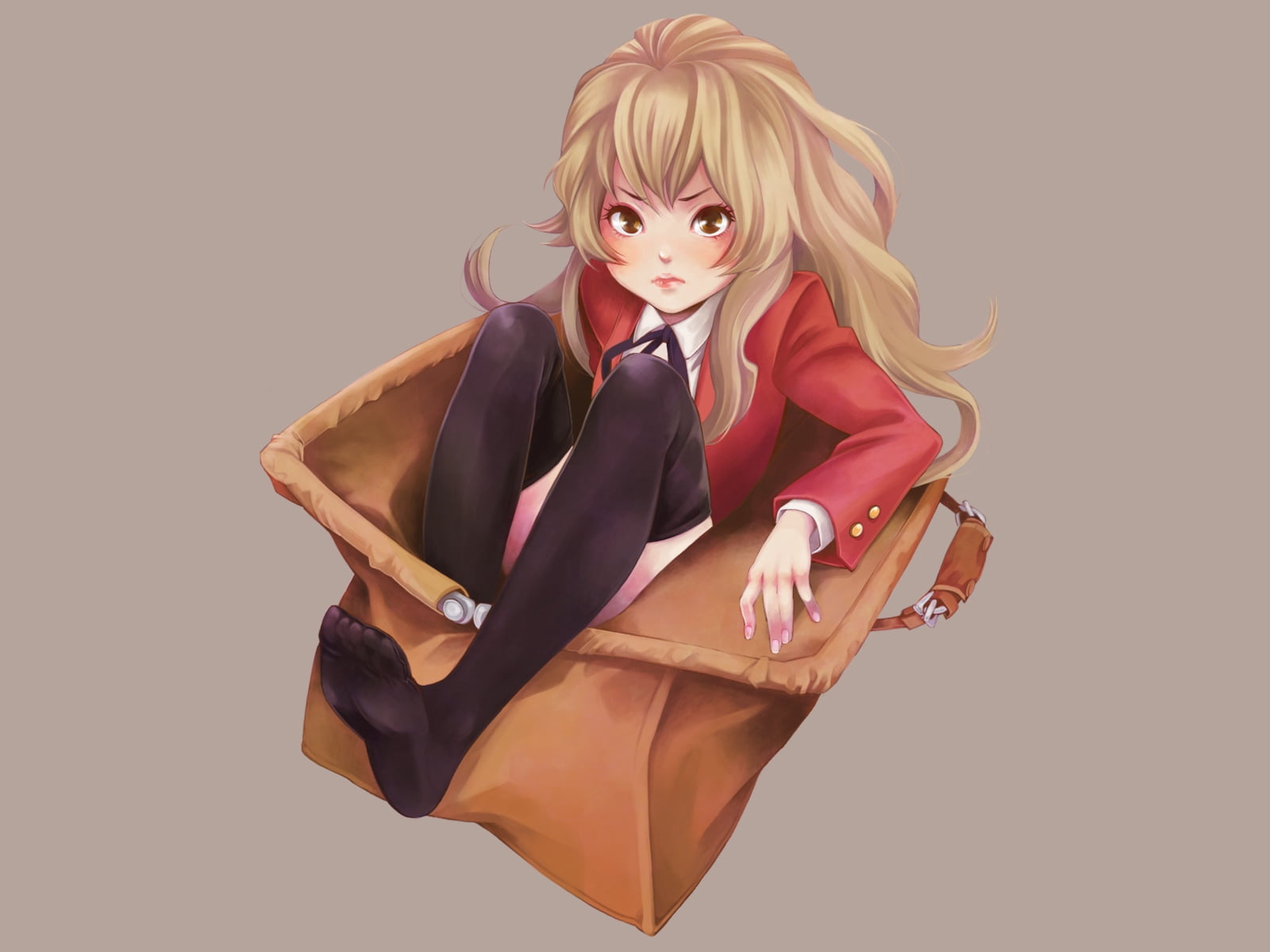 Toradora Older Taiga - HD Wallpaper 