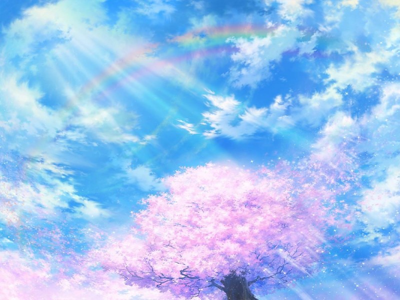 Rosa Árbol De Sakura Primavera Wallpaper Fondo De Pantalla - Rainbow Hd Photos Free - HD Wallpaper 