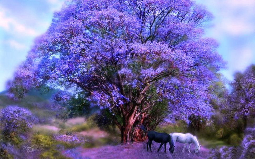 Jacaranda Tree Horses - HD Wallpaper 