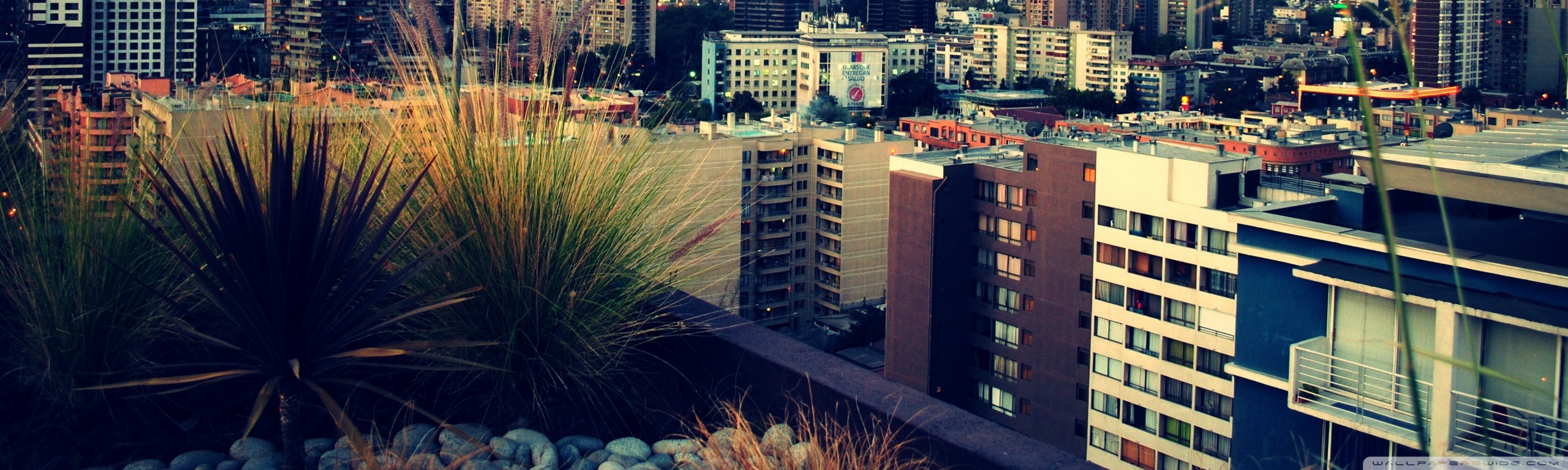 Mobile Phone - HD Wallpaper 