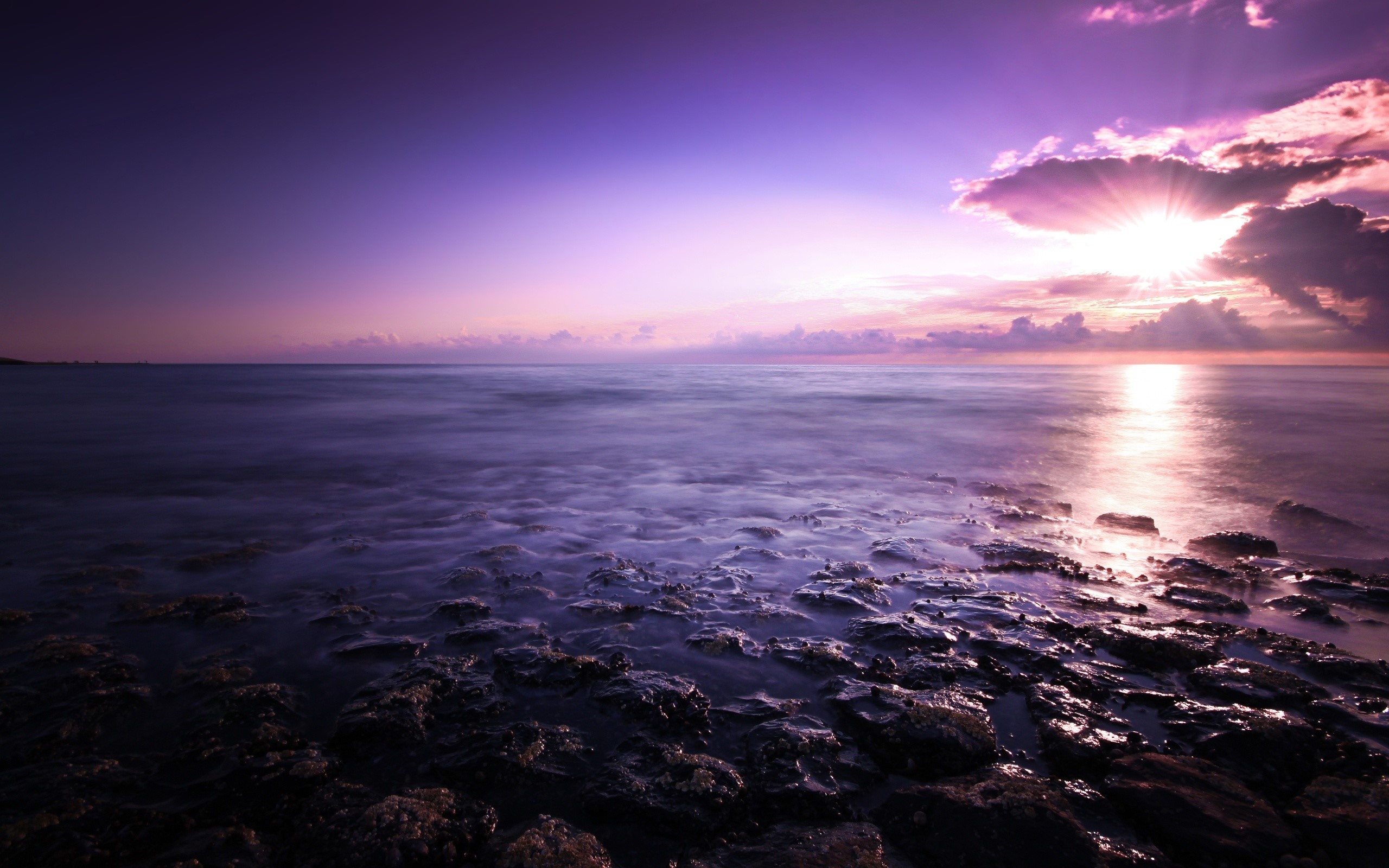 Pretty Purple Sunset Background - HD Wallpaper 