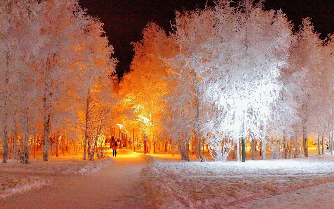 Download Mobile Wallpaper Landscape, Winter, Trees, - Winter Night - HD Wallpaper 