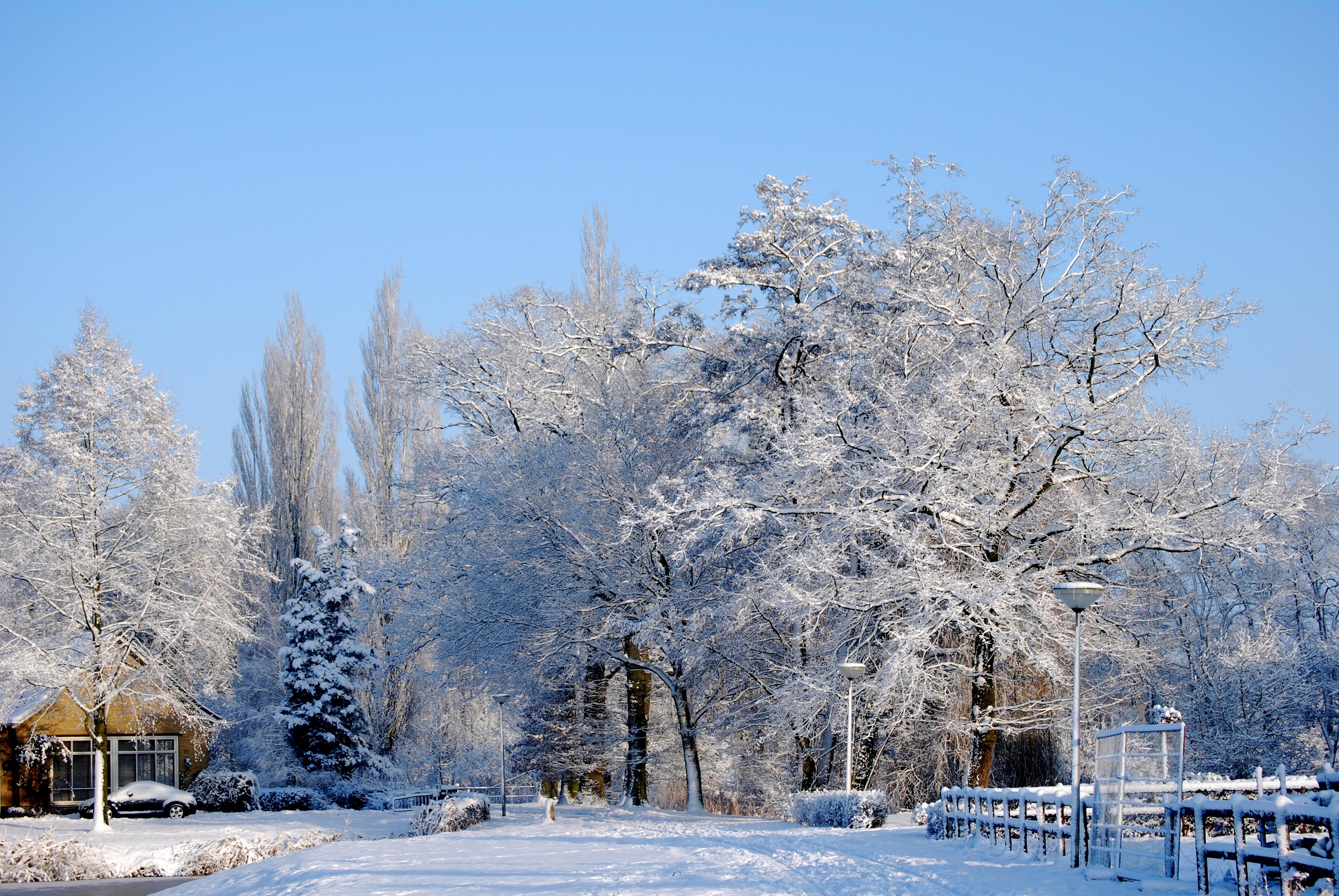 Nieve Wallpapers - Bewegende Sneeuw Achtergronden - HD Wallpaper 