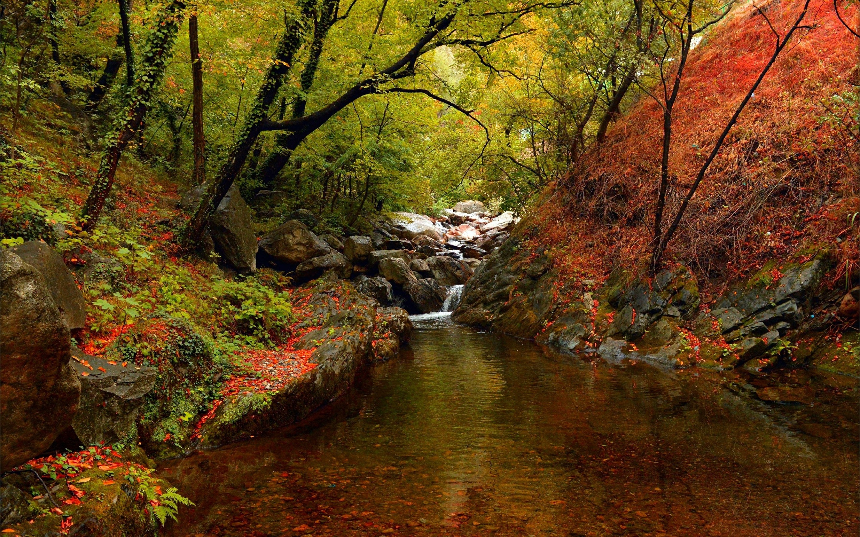 Wallpaper Nature Scenery, Trees, Creek, Stones, Autumn - Fondos De Pantalla Paisajes Naturales - HD Wallpaper 