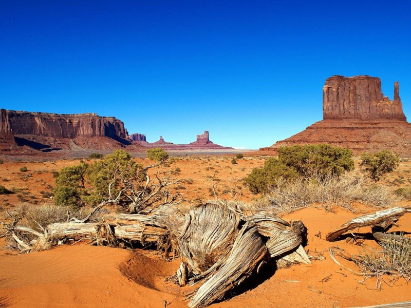 Wallpaper De Paisajes Del Desierto - Landscape Picture Of Desert Biome - HD Wallpaper 