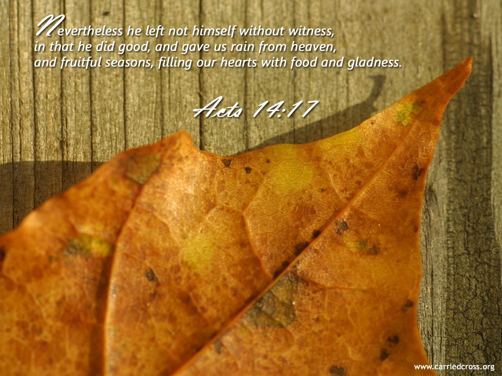 17 Christian Wallpaper Free Download - Autumn - HD Wallpaper 