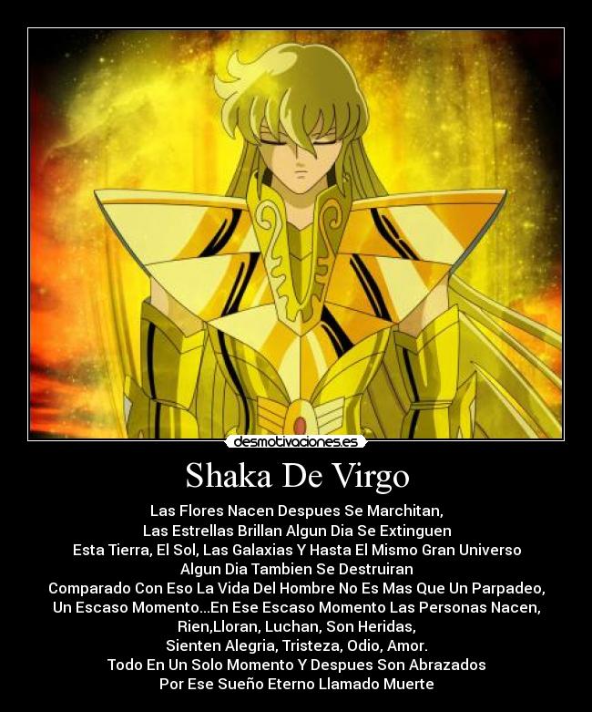 Frase De Shaka Antes De Morir - HD Wallpaper 