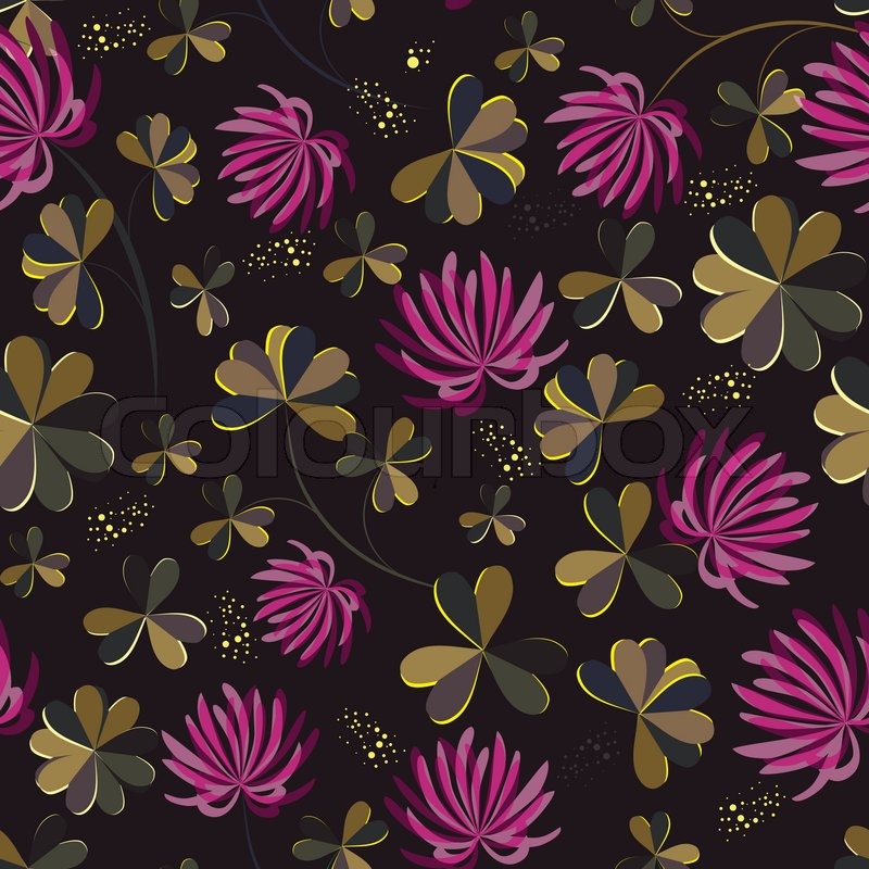 African Daisy - HD Wallpaper 