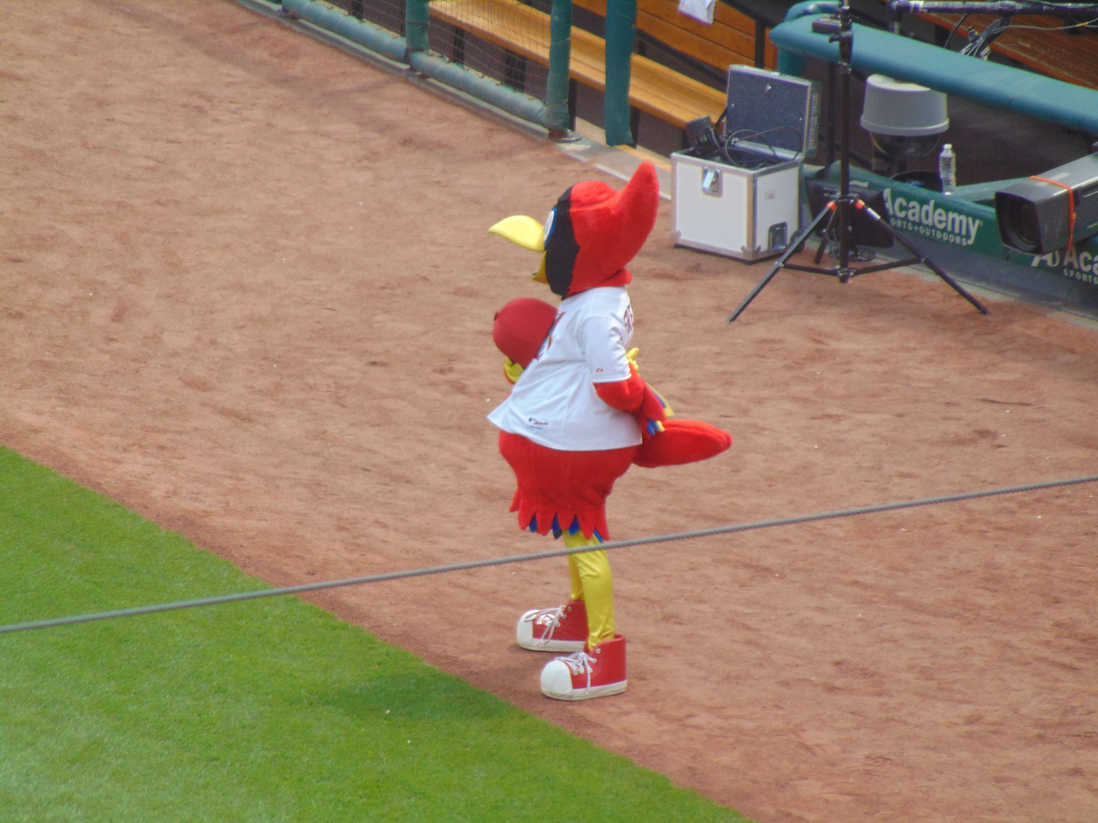 Player - HD Wallpaper 