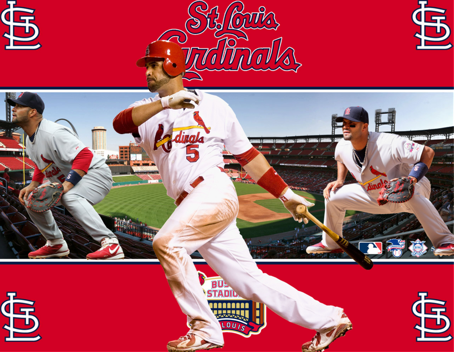 St Louis Cardinals - HD Wallpaper 