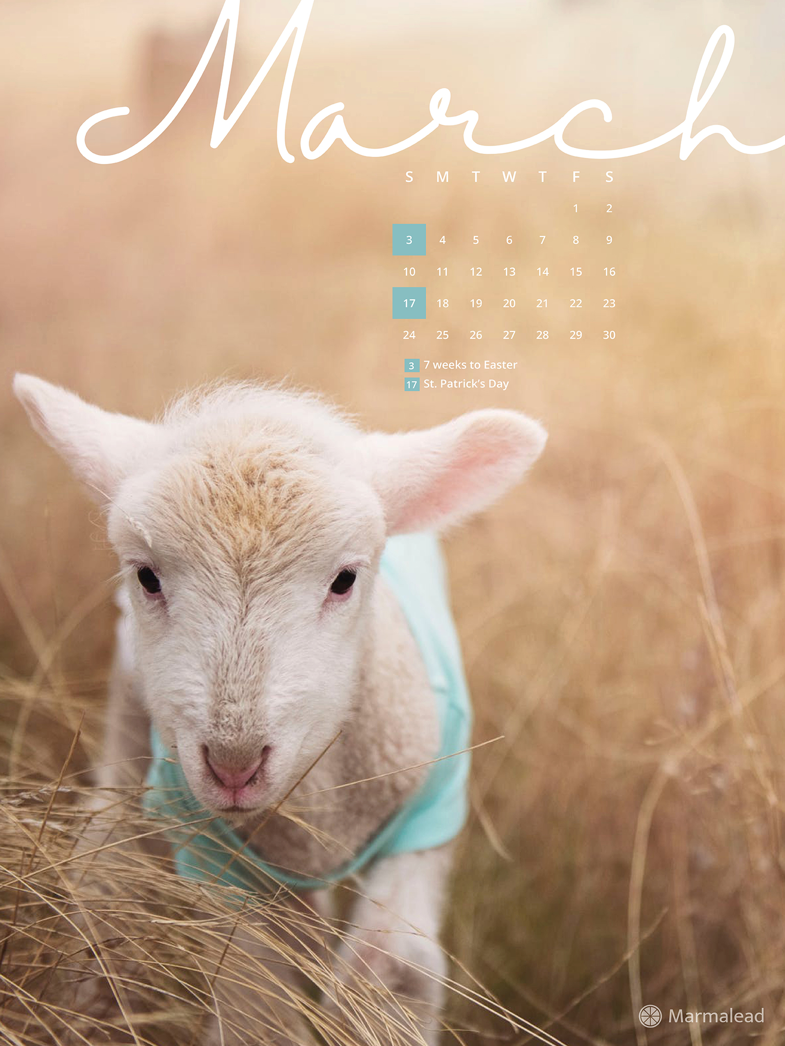 Until One Has Loved An Animal Part - HD Wallpaper 