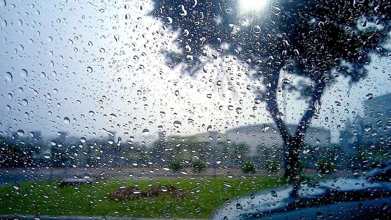 Raindrops Wallpaper Android - HD Wallpaper 