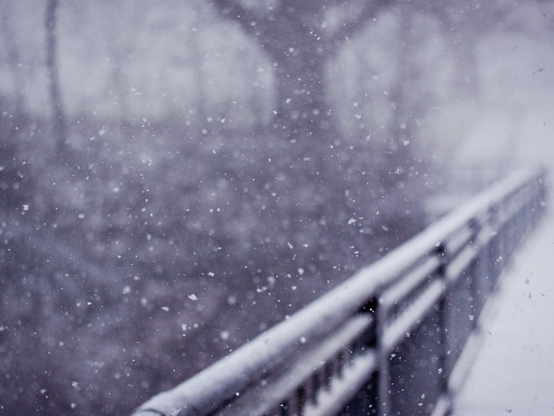 Beautiful Snow Rain In Winter Wallpaper - Depth Of Field Winter - HD Wallpaper 