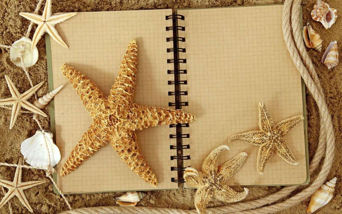 Download Mobile Wallpaper Background, Starfish For - Srecu Cine Male Stvari - HD Wallpaper 