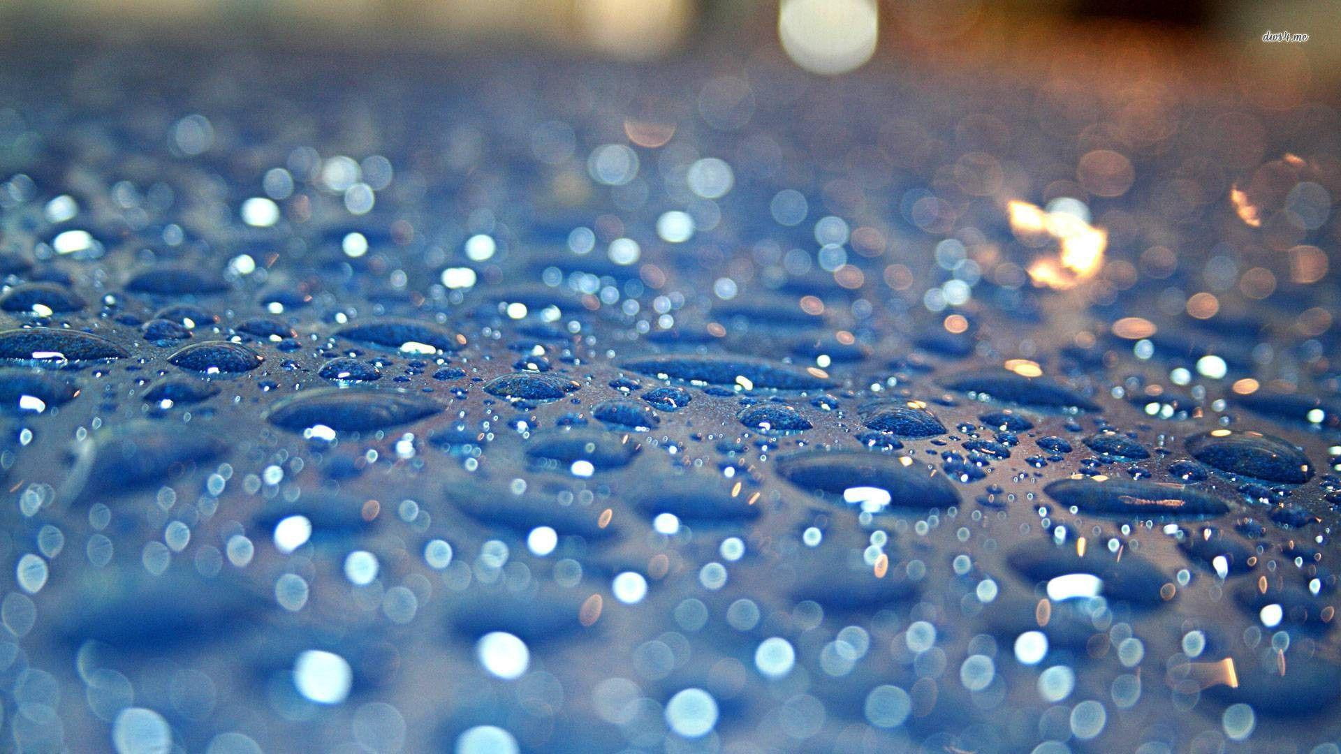 Hd Wallpaper Of Raindrops - HD Wallpaper 