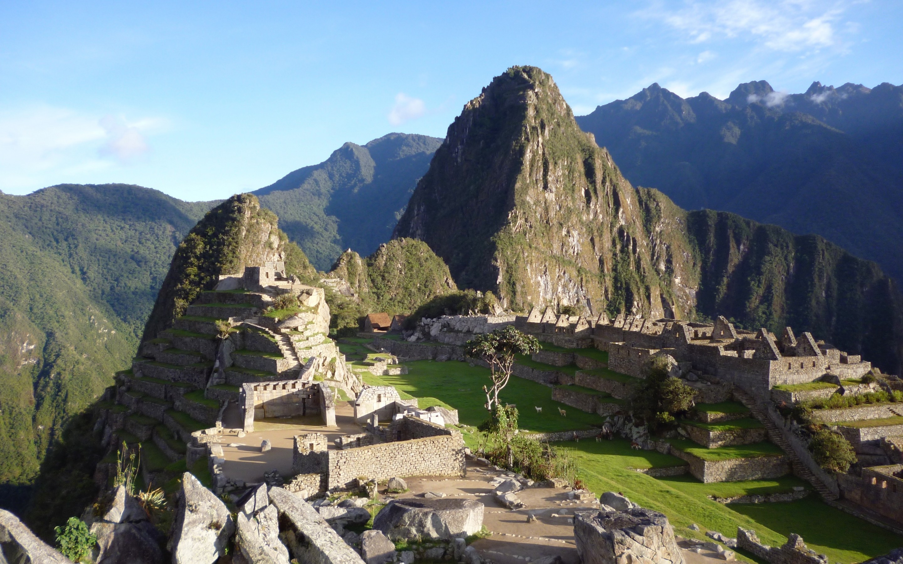 Machu Picchu, Peru, Mountain, Monuments - Machu Picchu - HD Wallpaper 