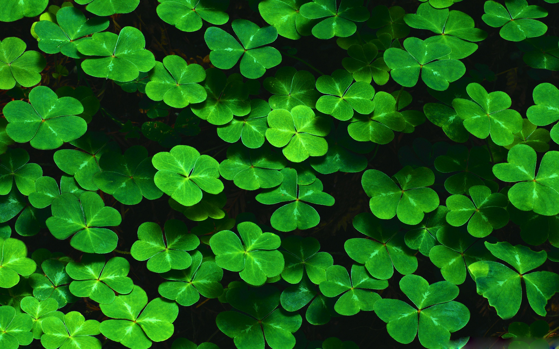 St Patrick's Day March Background - HD Wallpaper 