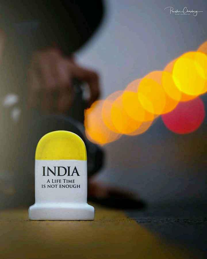 Single Flower With Blue Background Wallpaper Single - Single Life - HD Wallpaper 