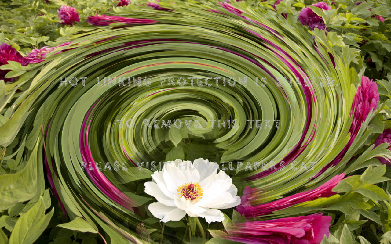 One Single Flower Art Spiral Green Nature - Artificial Flower - HD Wallpaper 