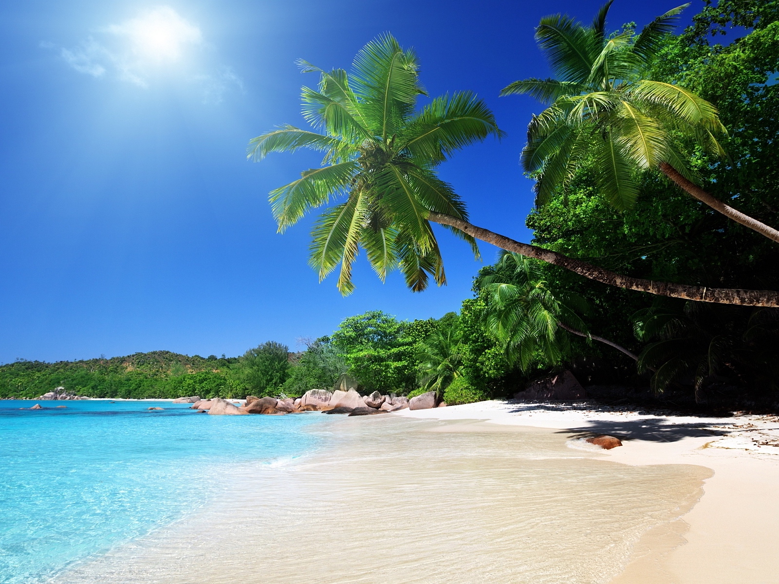 Wallpaper Beach, Sand, Palm Trees, Tropical - Beautiful Beach Background - HD Wallpaper 