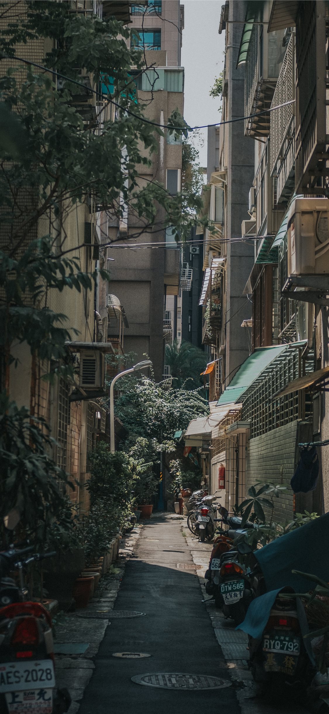 Iphone Xr Wallpaper Street 1125x2436 Wallpaper Teahub Io