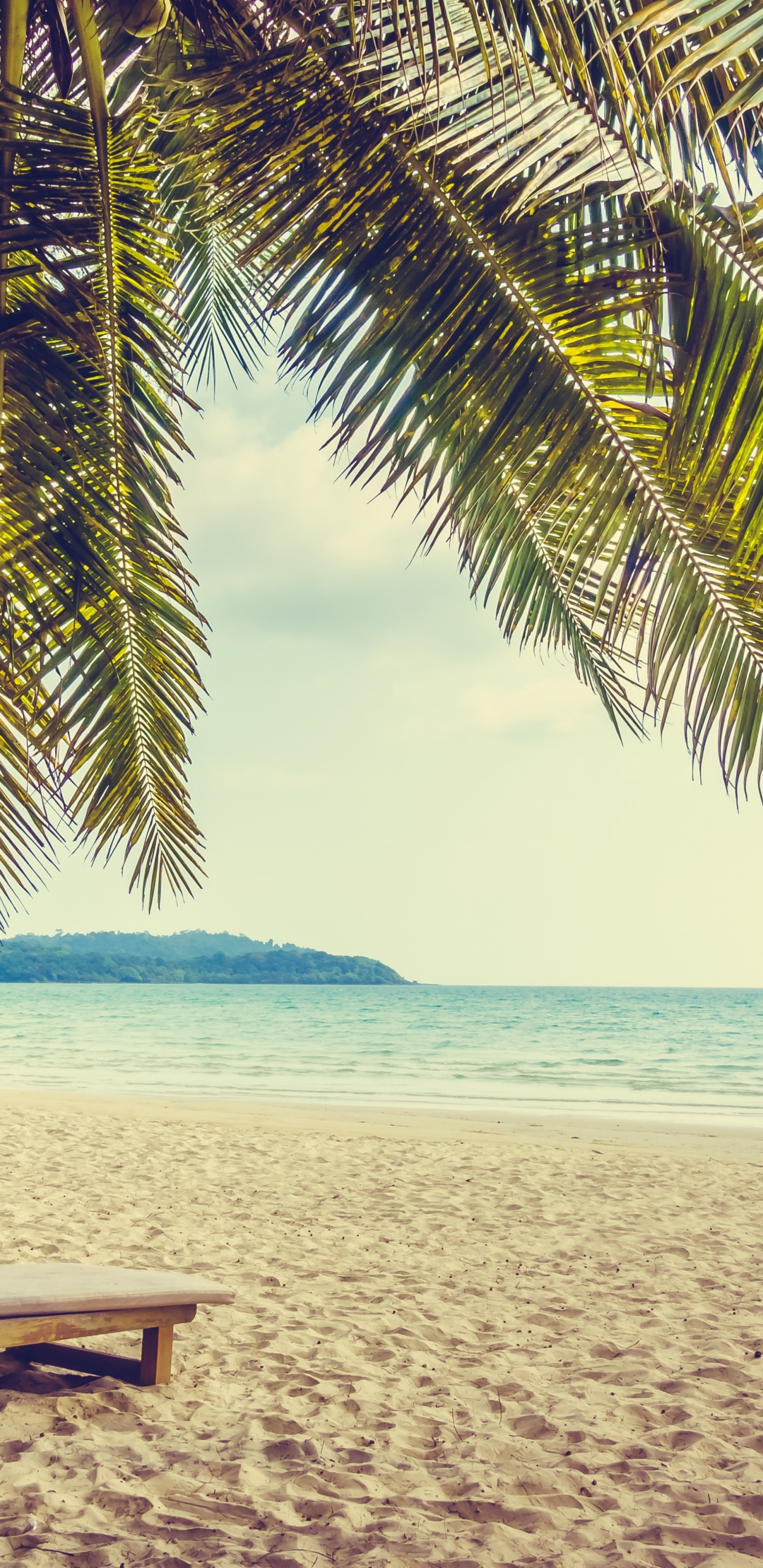 Palm Tree, Beach, Sand, Holiday, Summer, Wallpaper - Summer Holiday  Wallpaper Iphone - 1440x2960 Wallpaper 