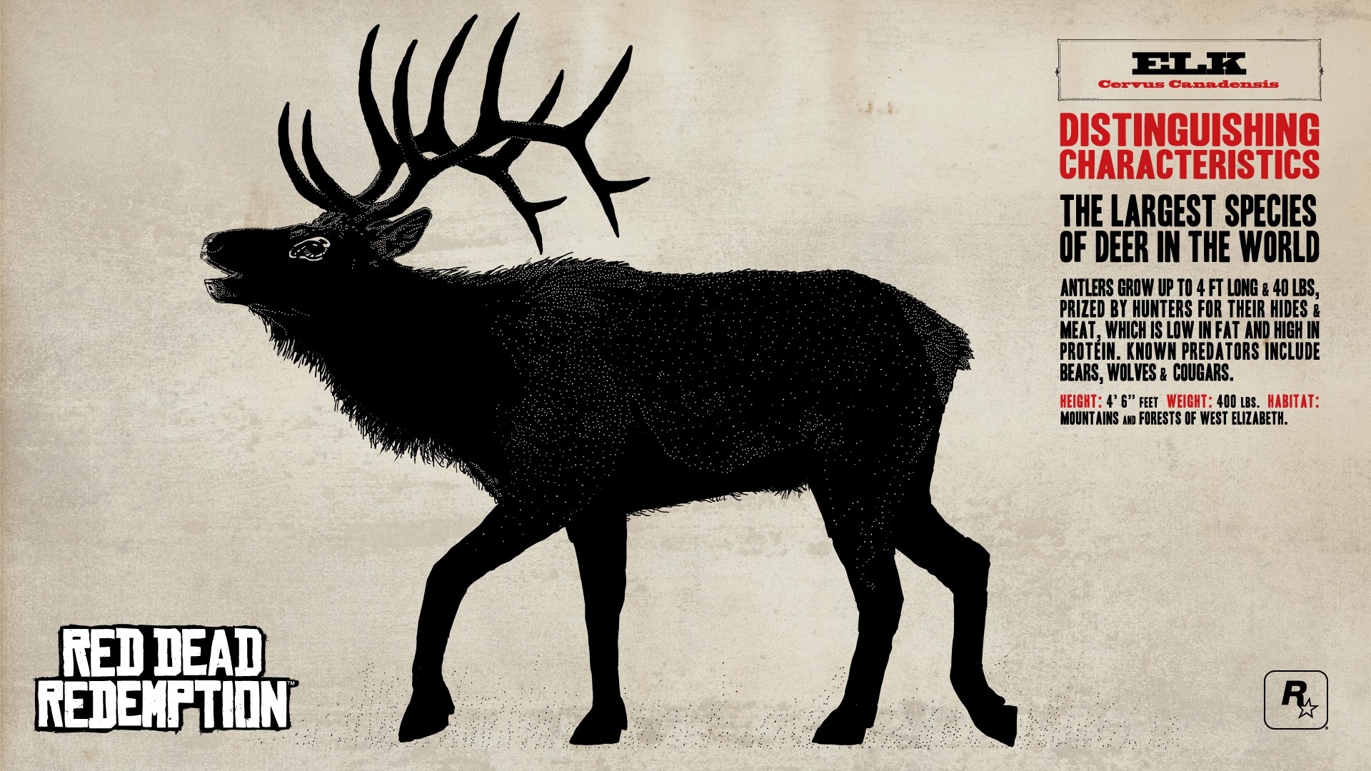 Red Dead 2 Grizzly Bear - HD Wallpaper 