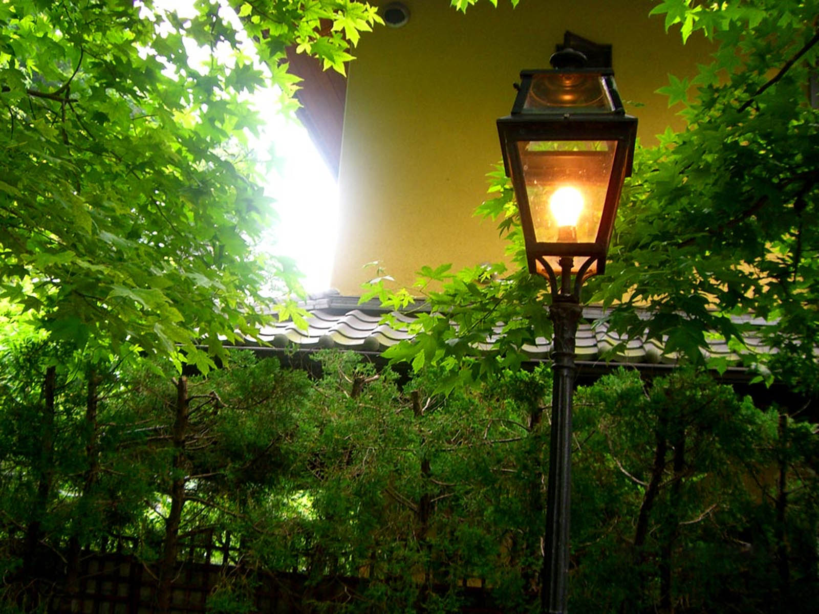 Street Light - HD Wallpaper 