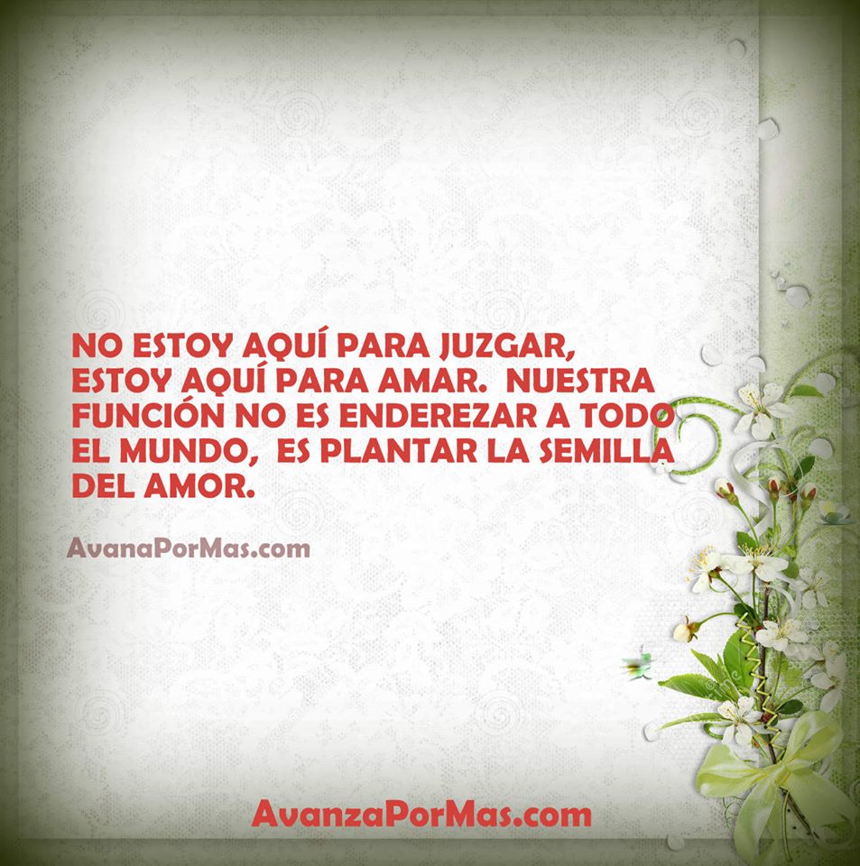 Frases De Amor Con Imagenes - Warner Independent - HD Wallpaper 