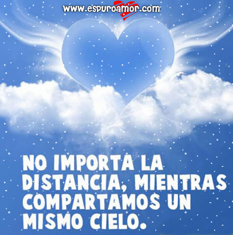 Corazon Con Nieve En Movimiento - Movimiento Frase Corazón Imagenes De Amor - HD Wallpaper 