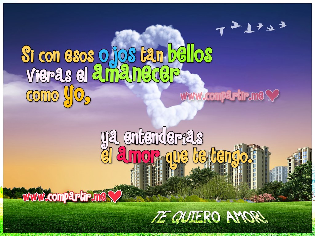 Grass - HD Wallpaper 