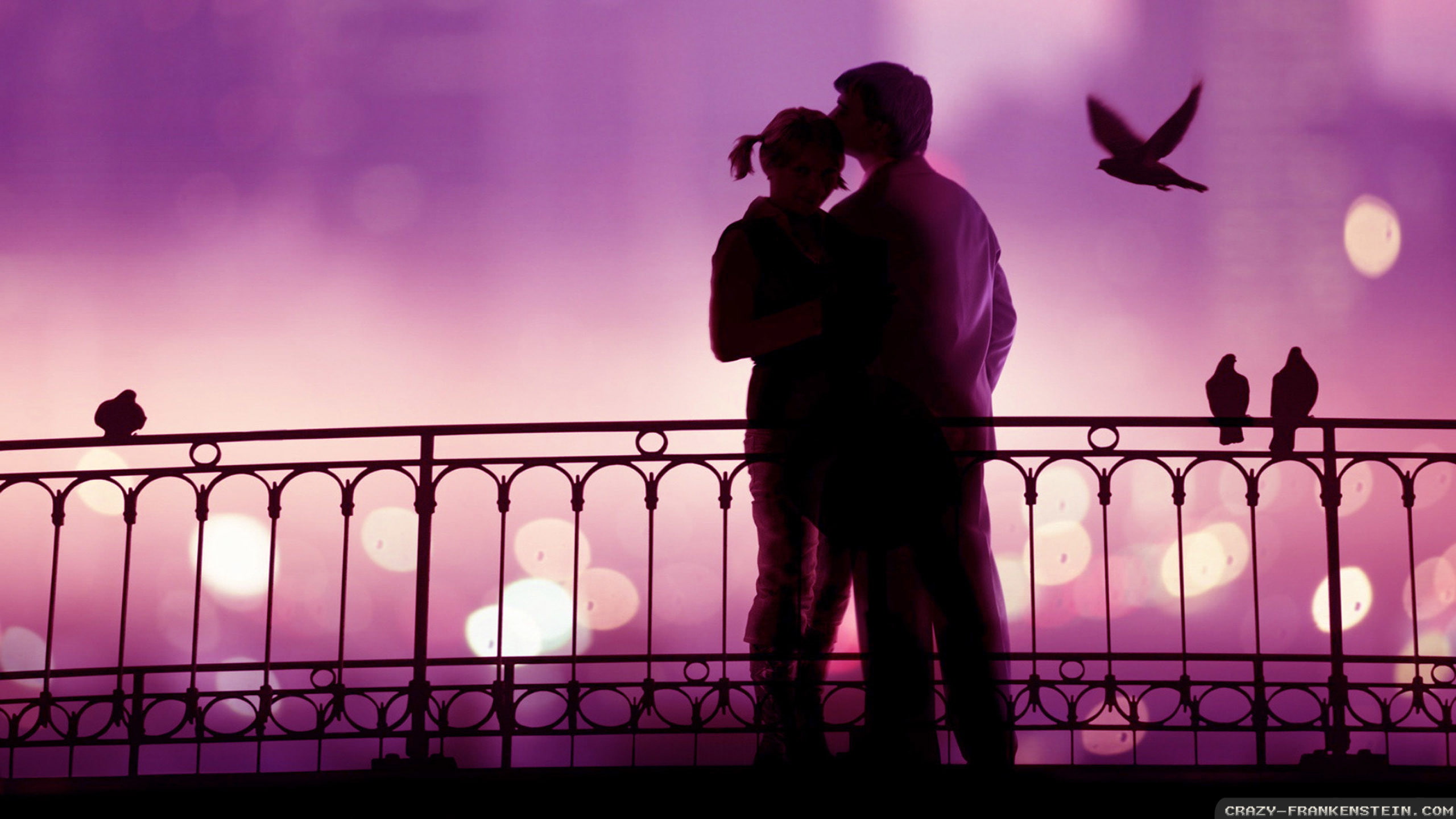 Love In First Site - HD Wallpaper 