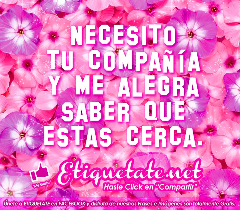 Bonitos Wallpapers En Hd De Compañía - Lata Flower Wallpaper Hd - HD Wallpaper 