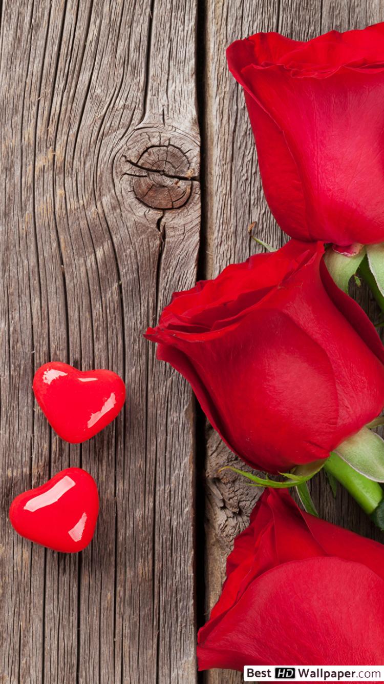 อาทิตย์ สี แดง สุขสันต์ - HD Wallpaper 