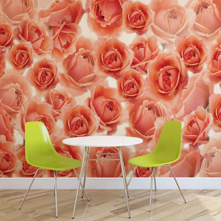 Flowers Roses Red Wallpaper Mural - Rose - HD Wallpaper 