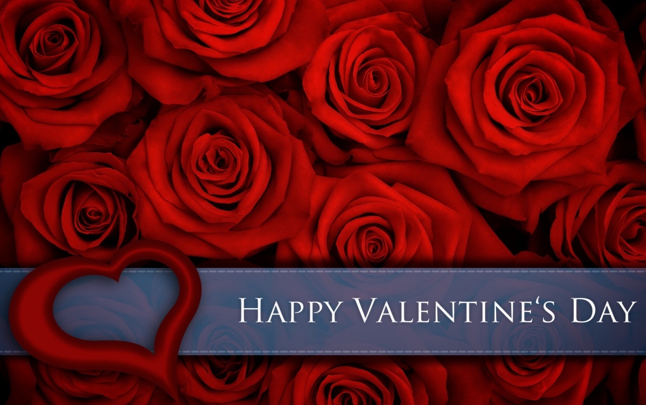 Rosas Rojas Para El Día De San Valentín Wallpapers - Roses Background - HD Wallpaper 
