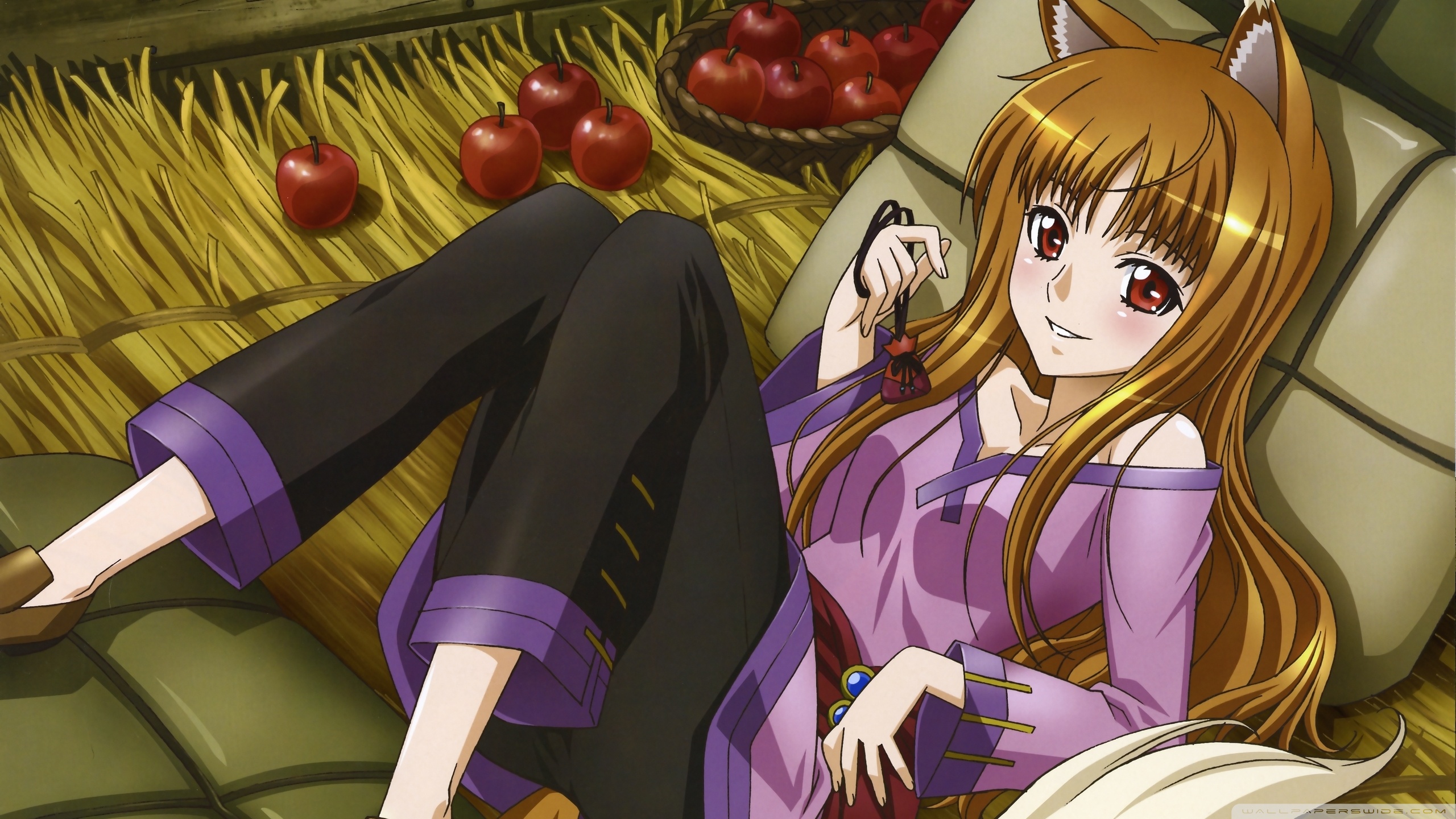 Fox Girl Spice And Wolf - HD Wallpaper 