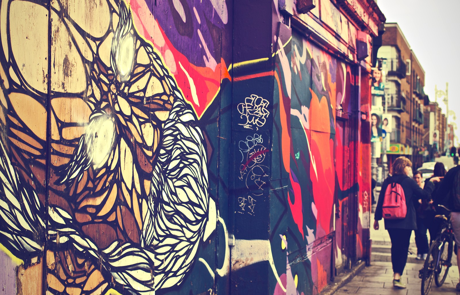 Sky Bird Flying Seagull Hd City Wallpapers Places Amazing - Background Place Wall - HD Wallpaper 