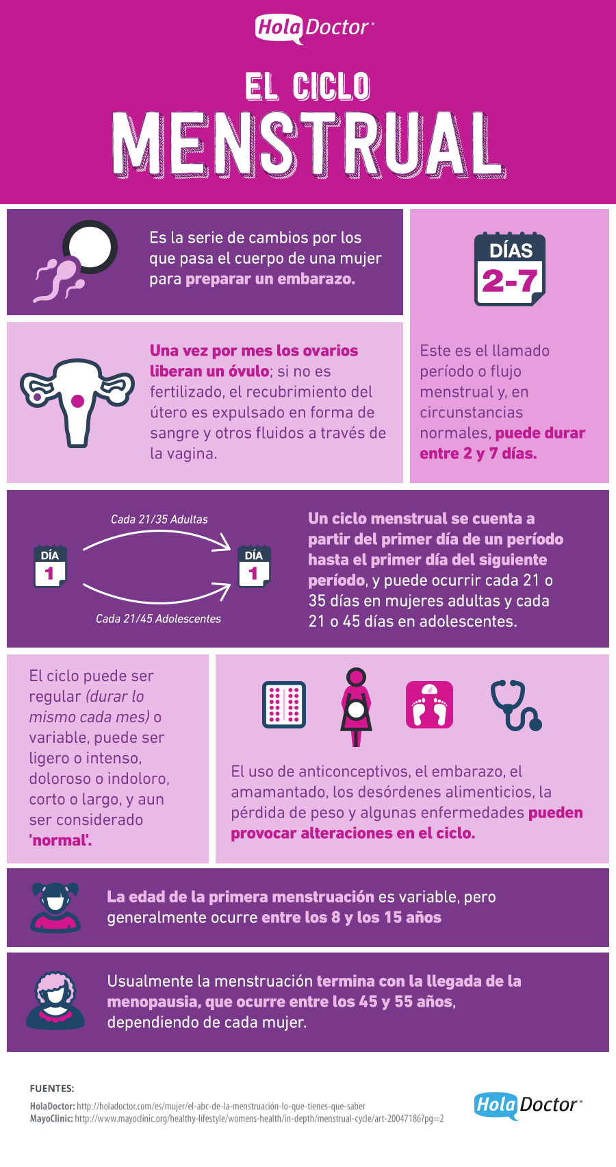 Todo Lo Que Debes Saber Sobre El Periodo El Ciclo Menstrual - Folleto Del Ciclo Menstrual - HD Wallpaper 
