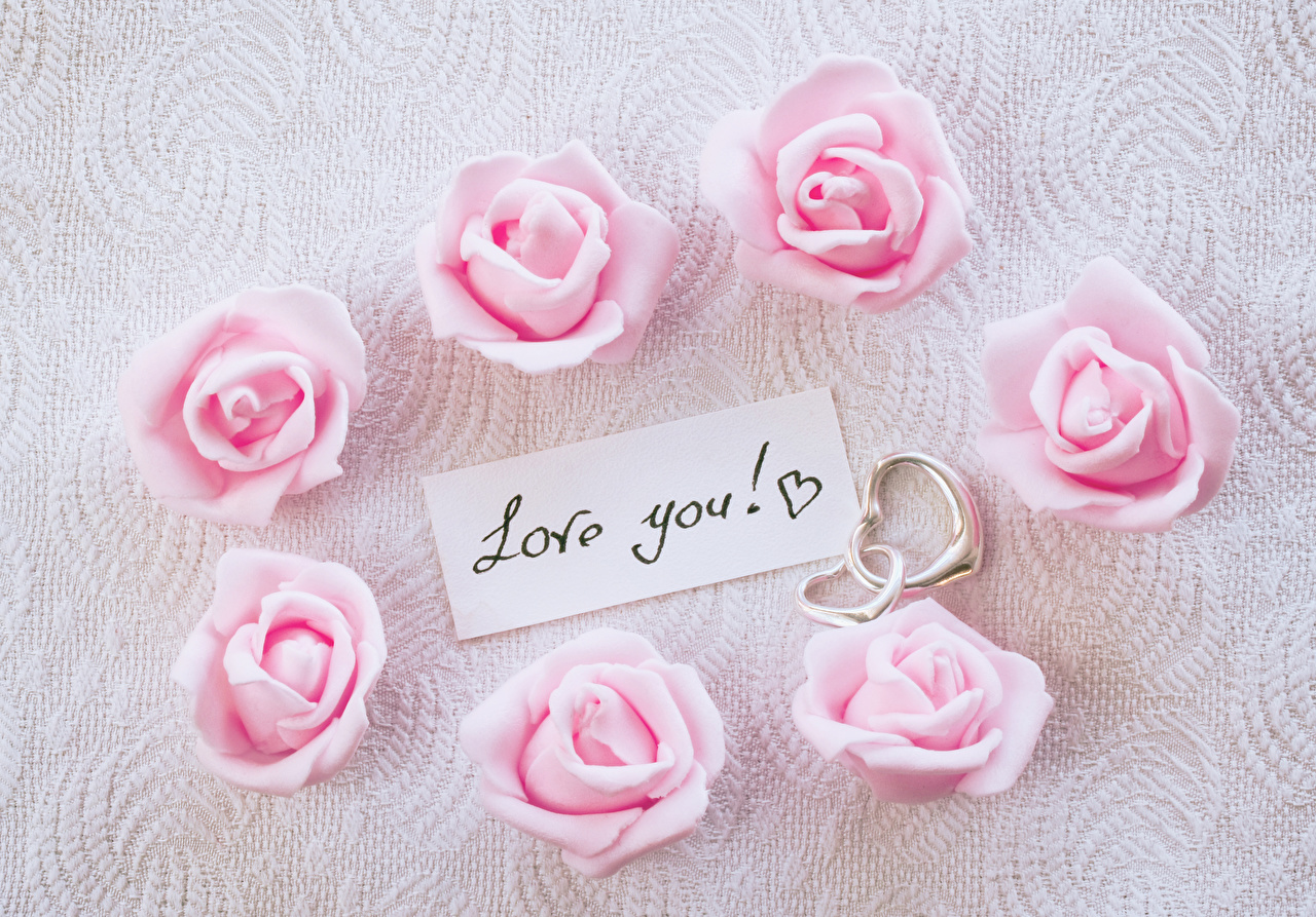 Pink Rose With I Love You - HD Wallpaper 