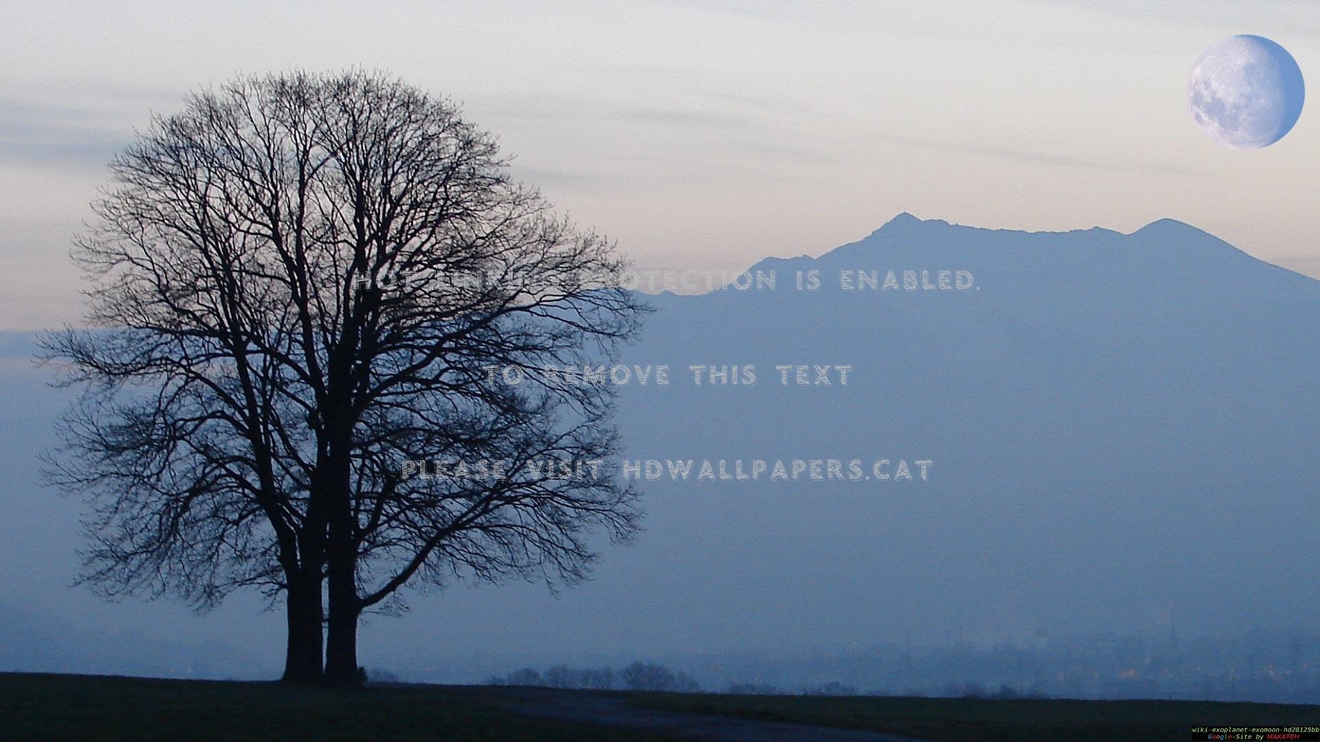 Herbst Berge Baum Mond Nature Mountains - Oak - HD Wallpaper 