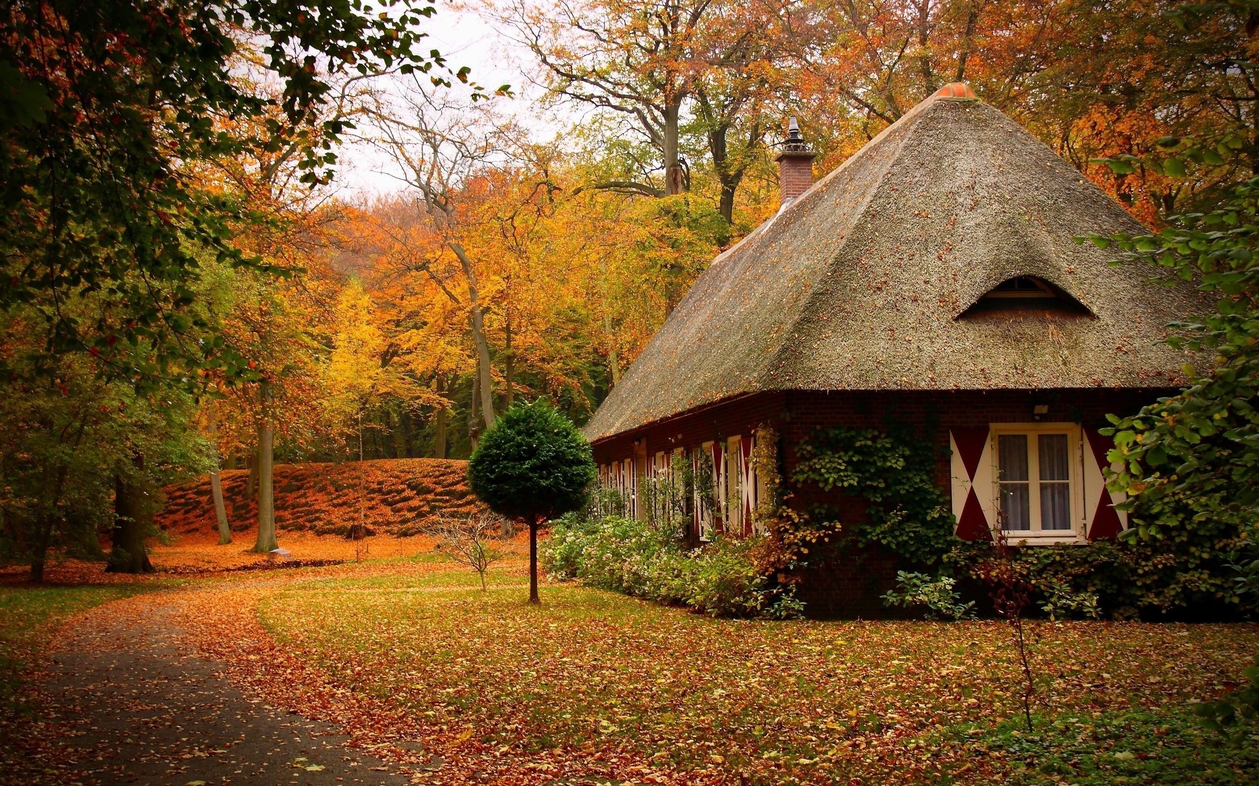 Small House In Forest - HD Wallpaper 