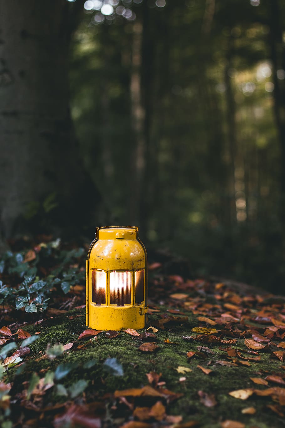 Still Life Photography - HD Wallpaper 